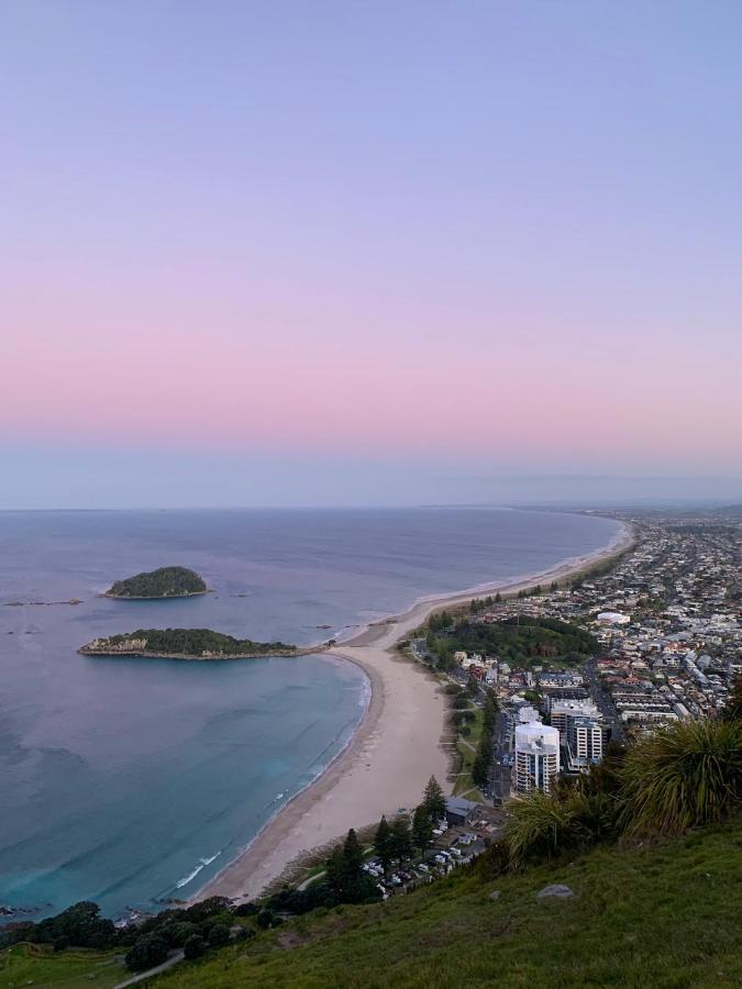 Mount Backpackers Hostel *